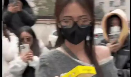 之前的吃瓜爆料叫什么,一场网络舆论的风暴