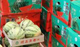 郴州吃瓜最新事件爆料,揭秘背后惊人真相，网络舆论漩涡再起